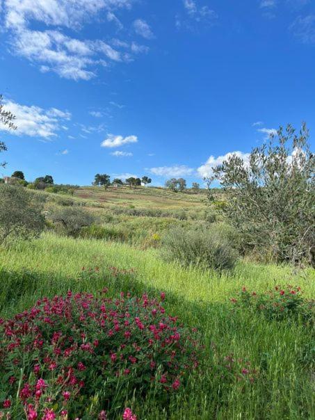 Casa Country Villa Agrigento Exteriör bild