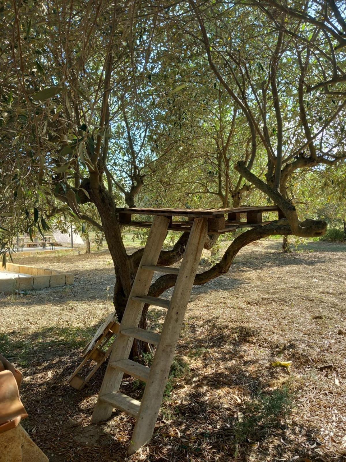 Casa Country Villa Agrigento Exteriör bild