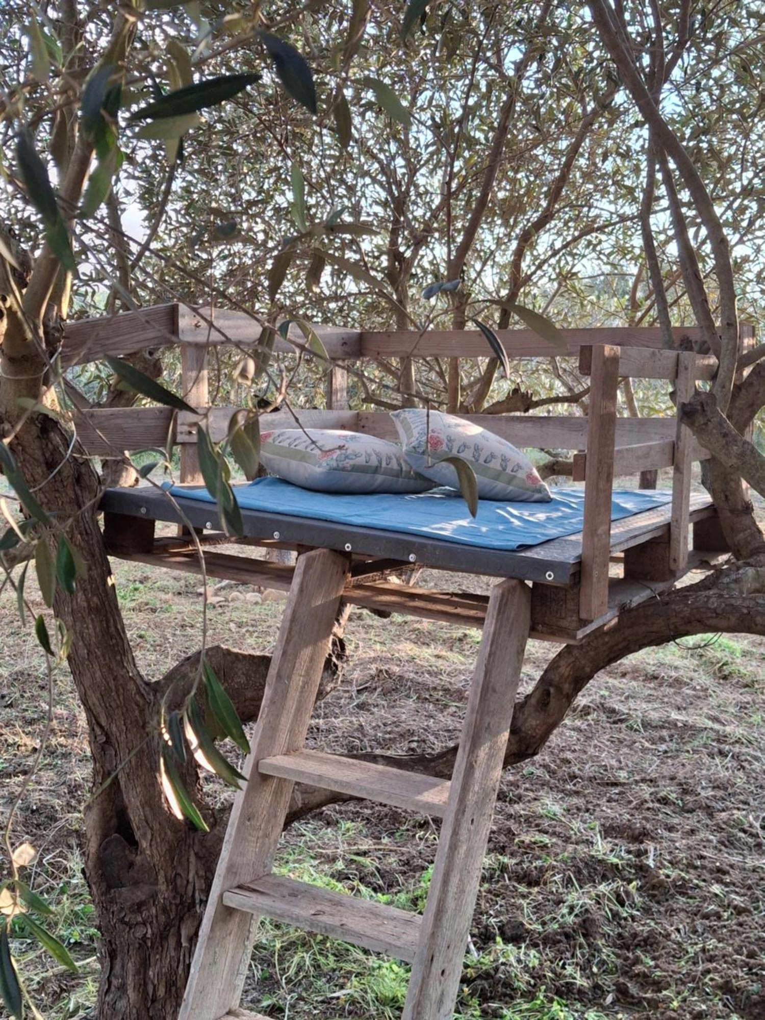 Casa Country Villa Agrigento Exteriör bild